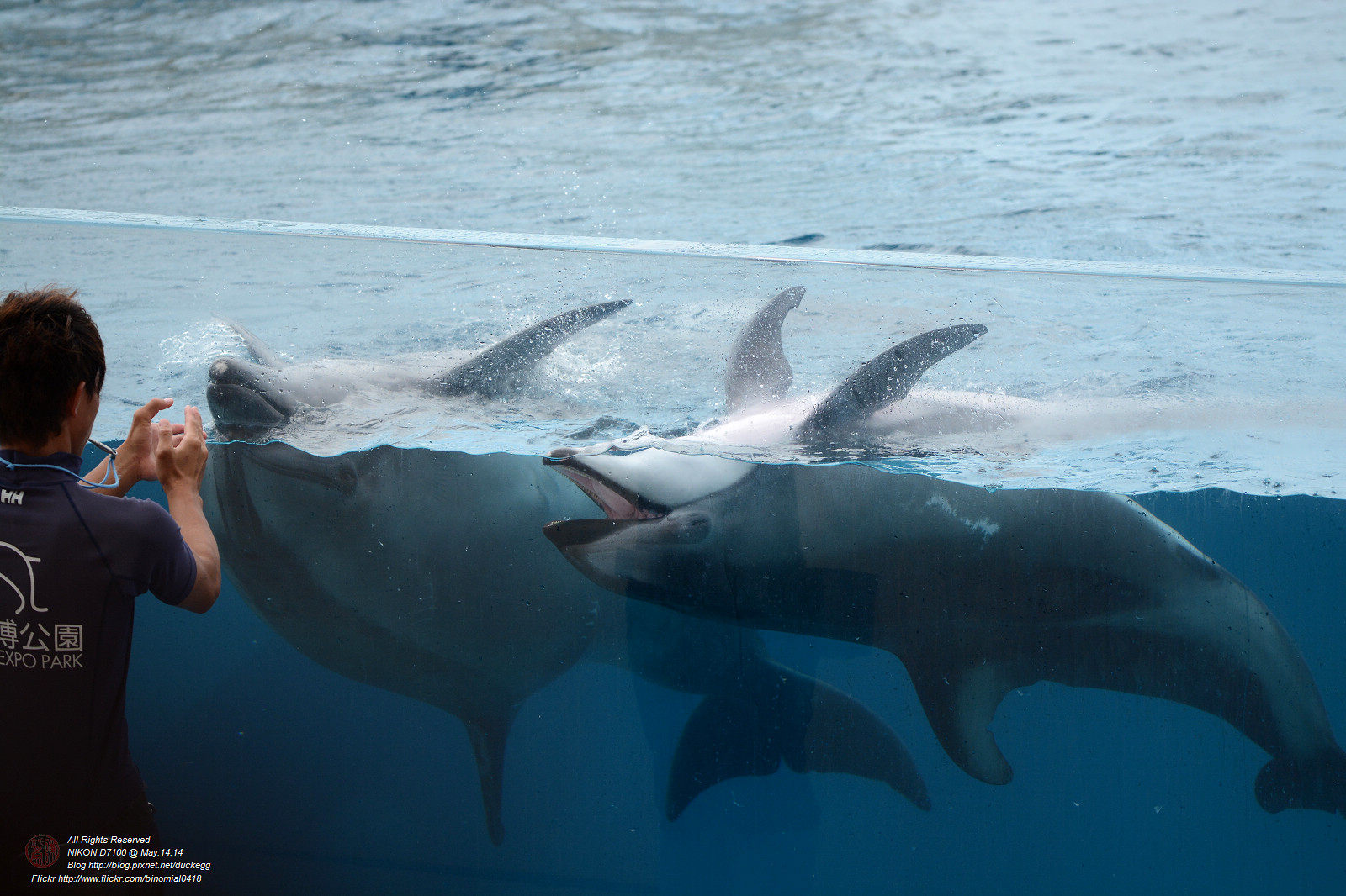 DSC_3040.jpg